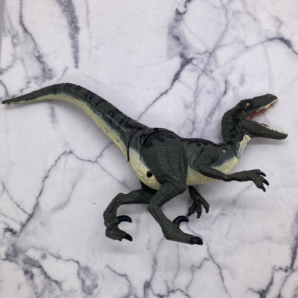 Jurassic World Velociraptor "Blue" Electronic Growling Attack Hasbro 2015 Raptor - Picture 4 of 10